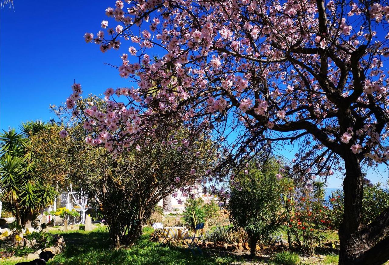 Finca Dulce Maikel Granadilla De Abona Esterno foto