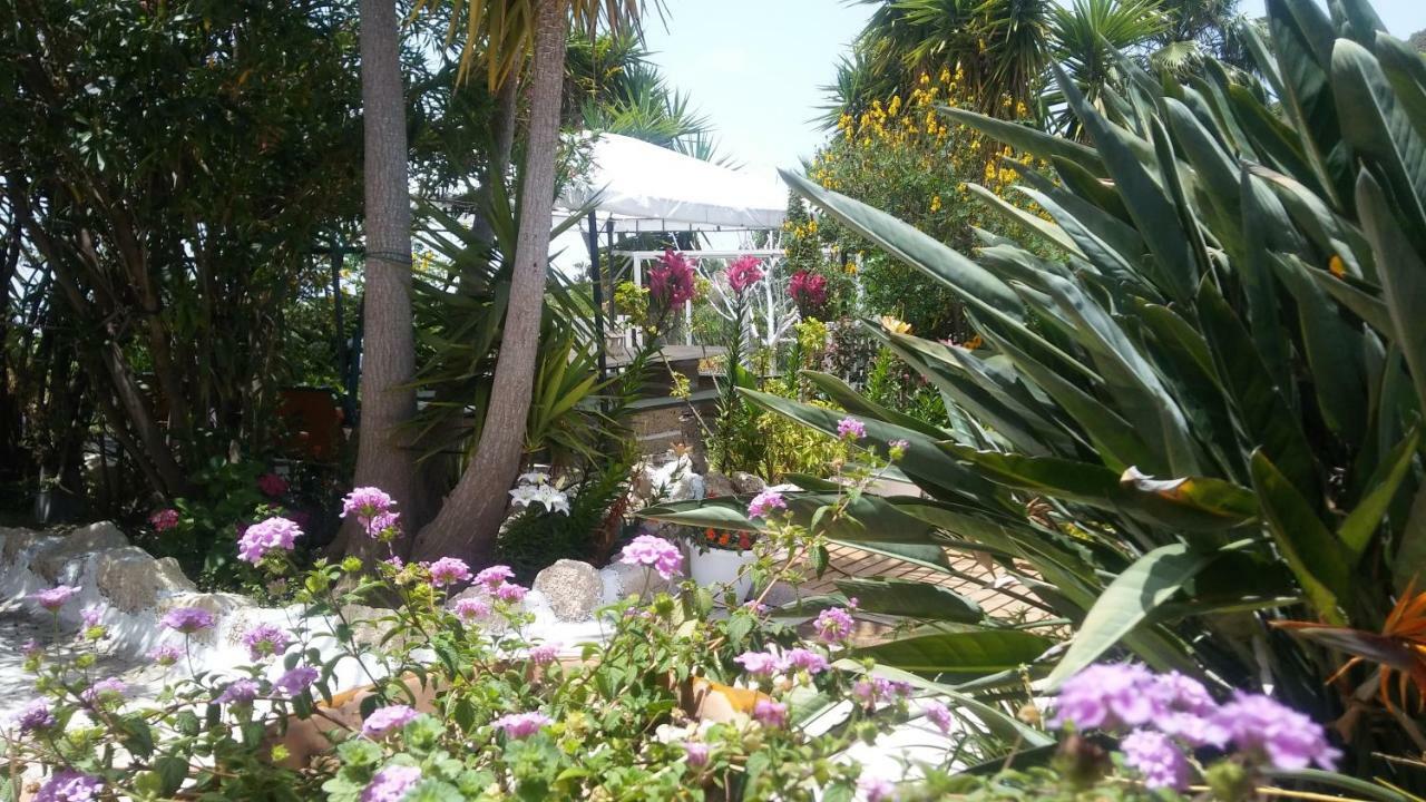 Finca Dulce Maikel Granadilla De Abona Esterno foto