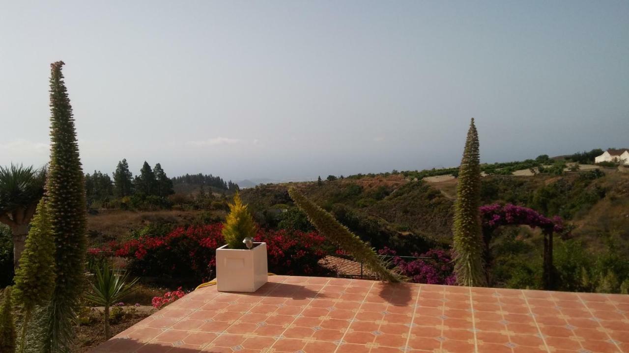 Finca Dulce Maikel Granadilla De Abona Esterno foto