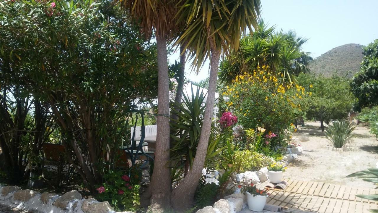 Finca Dulce Maikel Granadilla De Abona Esterno foto
