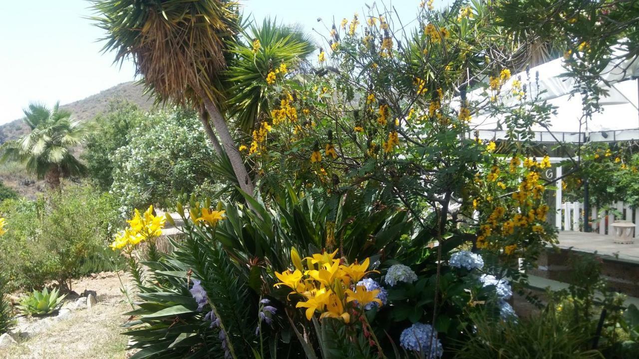Finca Dulce Maikel Granadilla De Abona Esterno foto